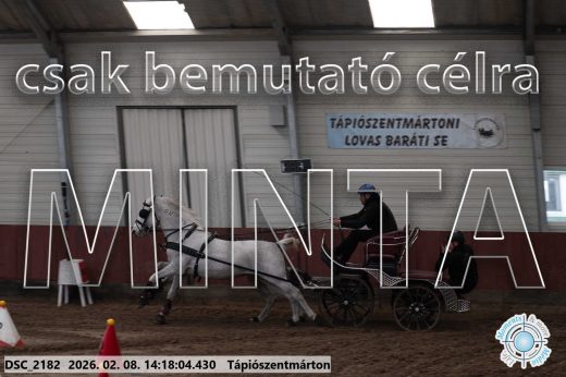 Mintakép 20260208-1363