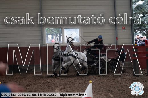 Mintakép 20260208-1364