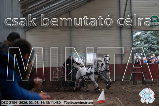 Mintakép 20260208-1365