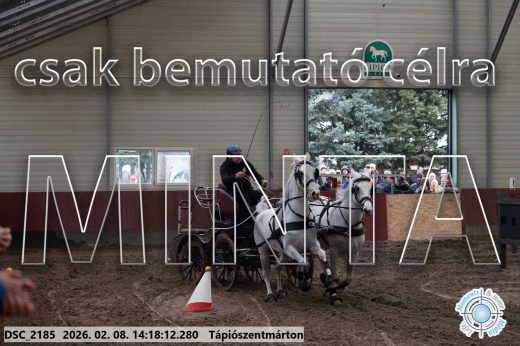Mintakép 20260208-1366