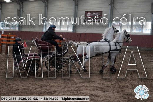 Mintakép 20260208-1367