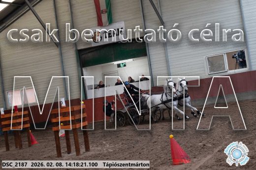 Mintakép 20260208-1368