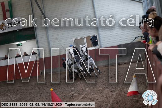 Mintakép 20260208-1369