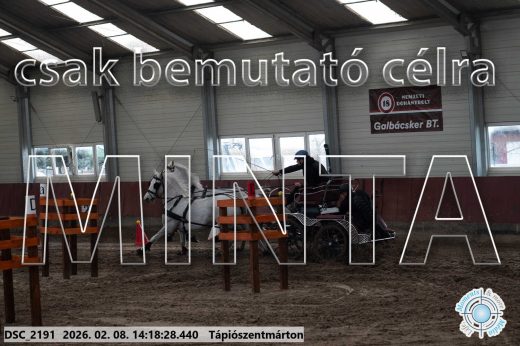 Mintakép 20260208-1372