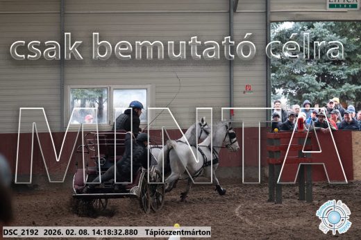 Mintakép 20260208-1373