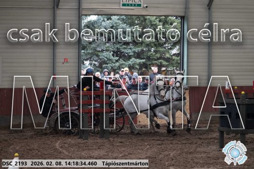 Mintakép 20260208-1374