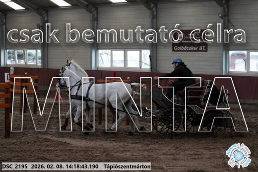 Mintakép 20260208-1376