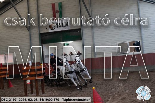 Mintakép 20260208-1378