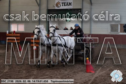Mintakép 20260208-1379