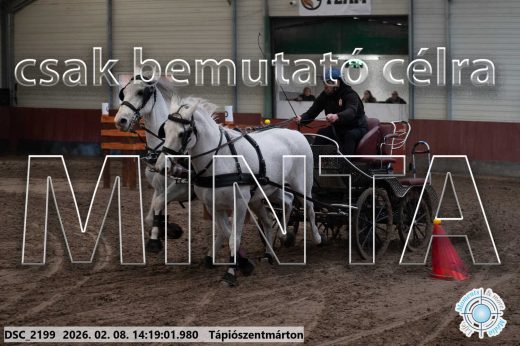 Mintakép 20260208-1380