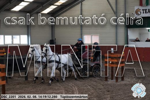 Mintakép 20260208-1382