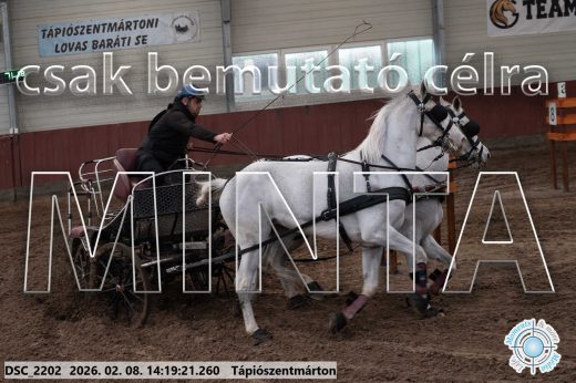 Mintakép 20260208-1383