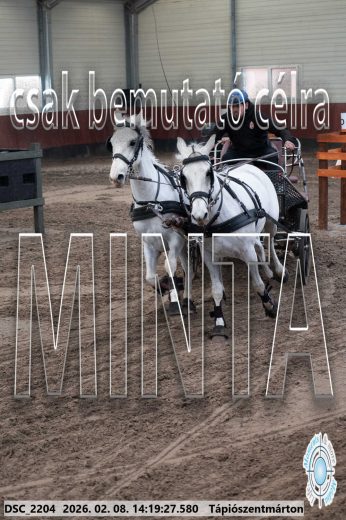 Mintakép 20260208-1385