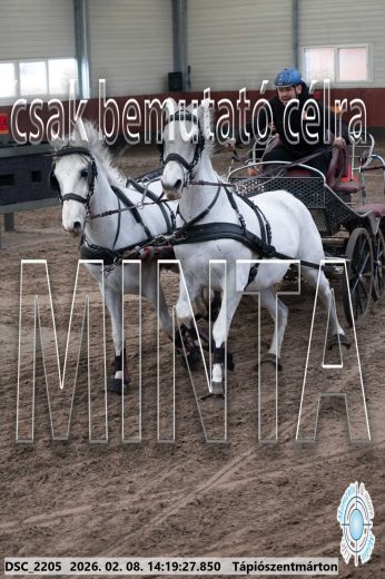 Mintakép 20260208-1386
