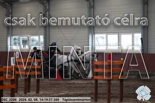 Mintakép 20260208-1387