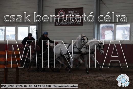 Mintakép 20260208-1389