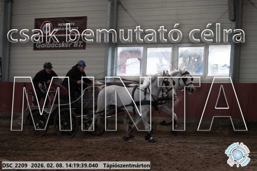 Mintakép 20260208-1390