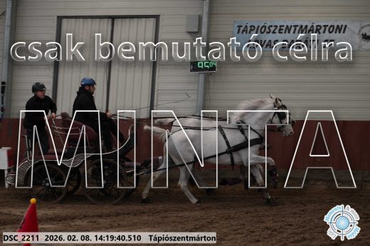Mintakép 20260208-1392