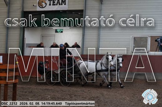 Mintakép 20260208-1393