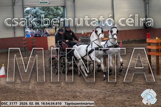 Mintakép 20260208-1395
