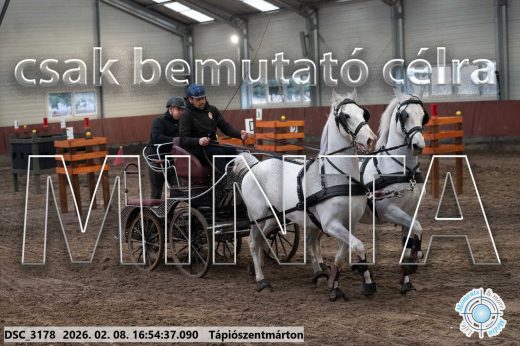 Mintakép 20260208-1396