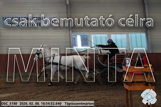 Mintakép 20260208-1398