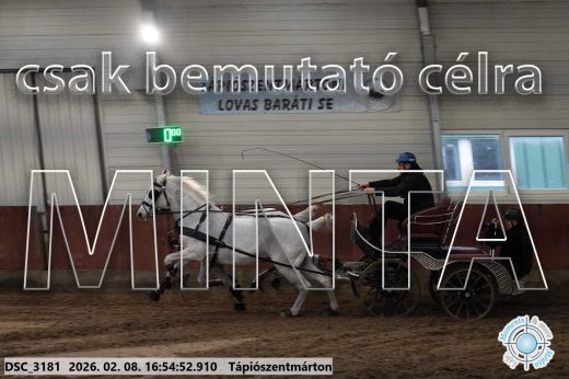 Mintakép 20260208-1399