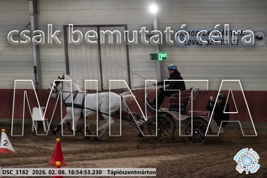 Mintakép 20260208-1400