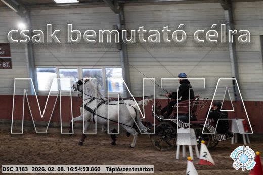 Mintakép 20260208-1401