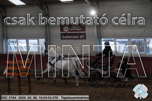 Mintakép 20260208-1402