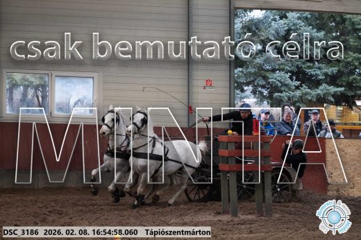 Mintakép 20260208-1404