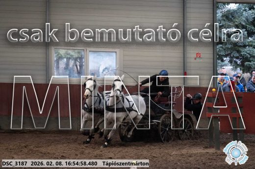 Mintakép 20260208-1405