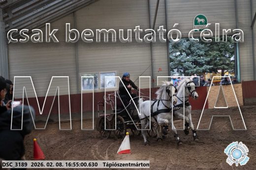 Mintakép 20260208-1407