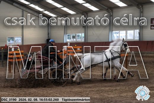 Mintakép 20260208-1408