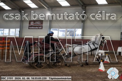 Mintakép 20260208-1409