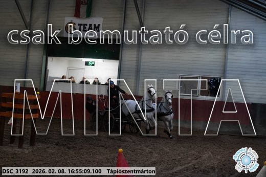 Mintakép 20260208-1410