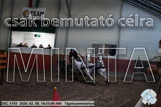 Mintakép 20260208-1411
