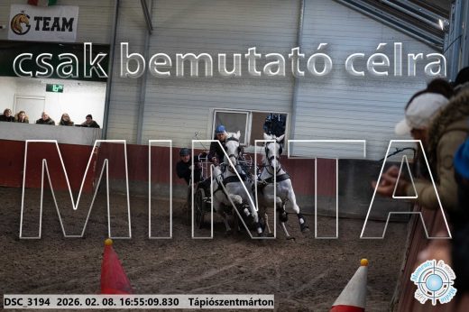 Mintakép 20260208-1412