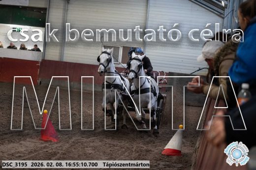 Mintakép 20260208-1413