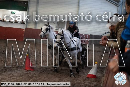 Mintakép 20260208-1414