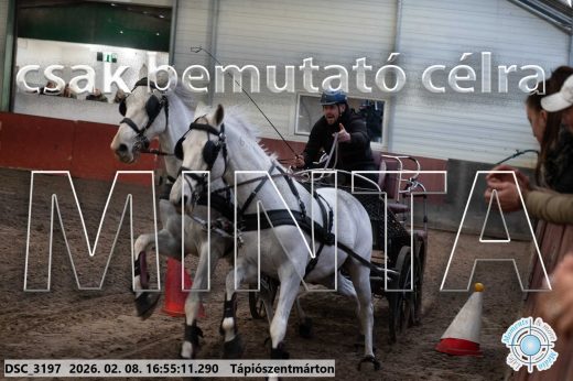 Mintakép 20260208-1415