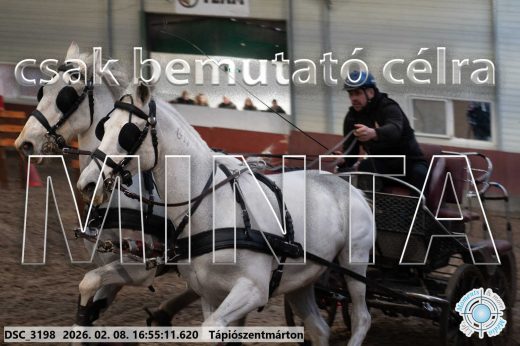 Mintakép 20260208-1416