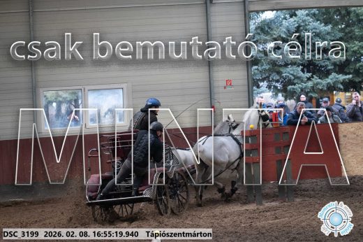 Mintakép 20260208-1417