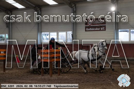 Mintakép 20260208-1419
