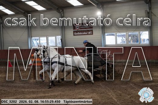 Mintakép 20260208-1420
