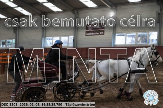 Mintakép 20260208-1421