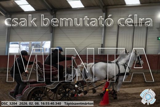 Mintakép 20260208-1422