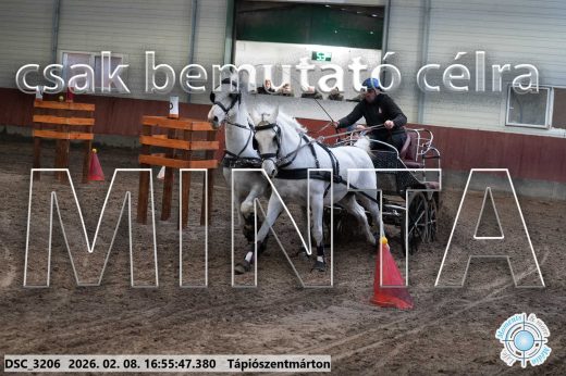 Mintakép 20260208-1424