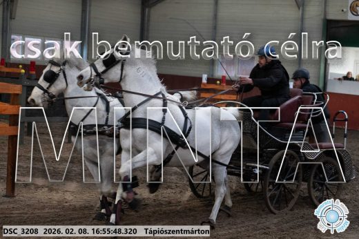Mintakép 20260208-1426