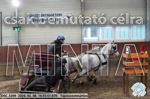 Mintakép 20260208-1427